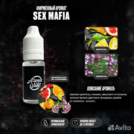 8№ / Ароматизатор для автомобиля Медведь В Короне