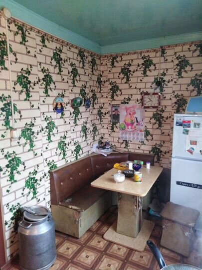 Дом 48 м² на участке 13 сот.