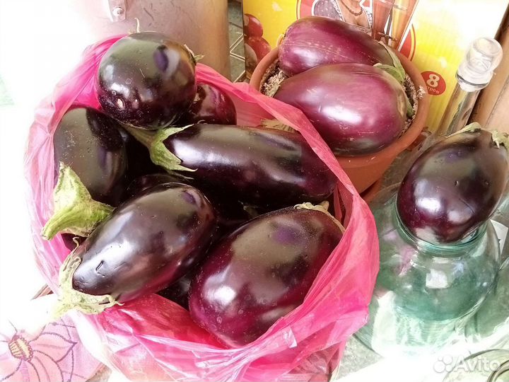 Баклажан свежий