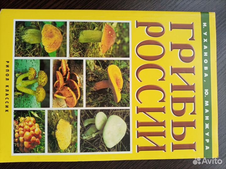 Книга. Грибы России