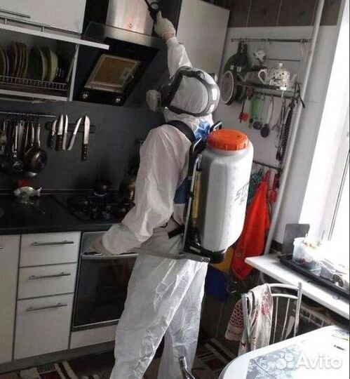 Уничтожение клопов, травить тараканов. Дезинфекция