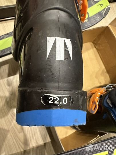 Горные лыжи