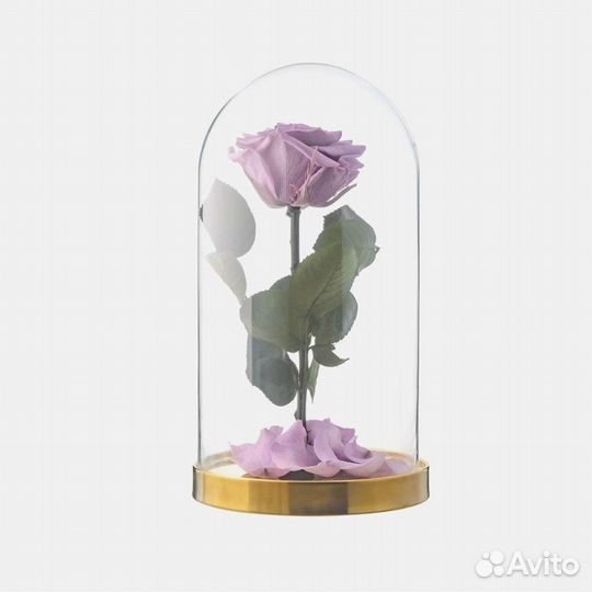 Роза в колбе
