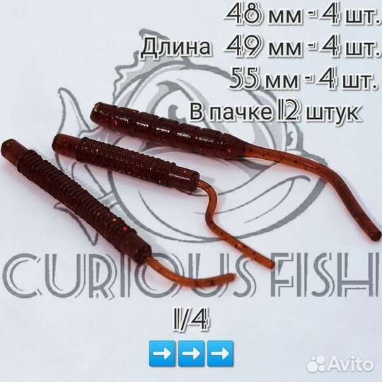 Curious Fish Chervi 2 дюйма