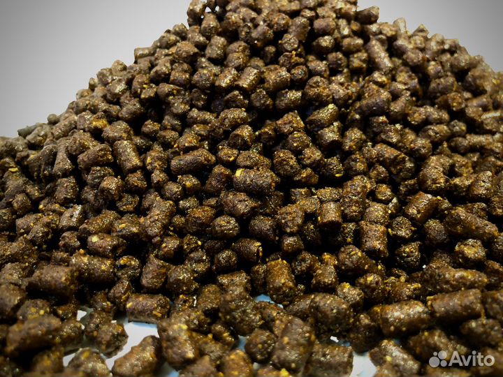 Корм для осетровых рыб