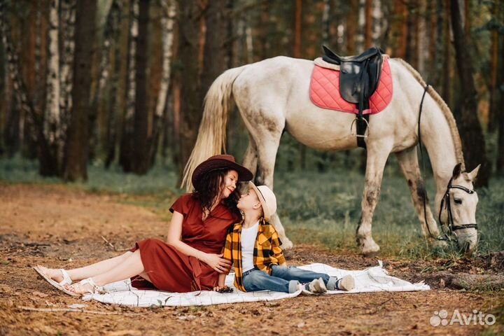 Прогулки на лошадях, конные прогулки,прокат лошади