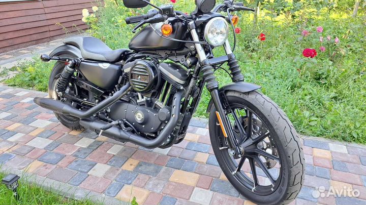 Harley Davidson Sportster