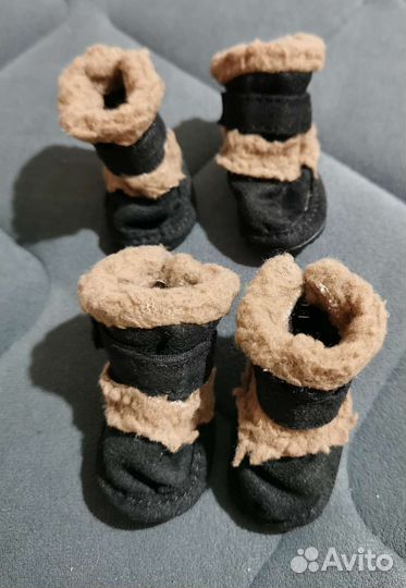 Ботинки на собачку мелкой породы