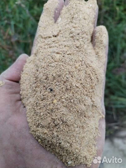 Корм кукурузный