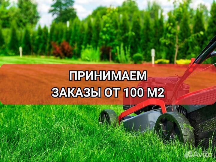 Рулонный газон от производителя