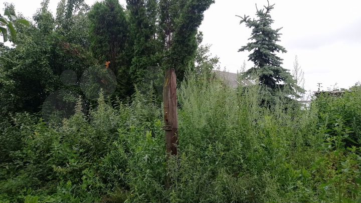 Дом 54 м² на участке 30 сот.