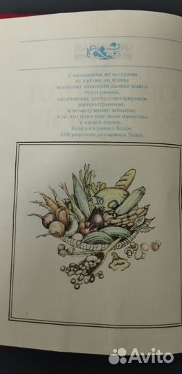 Бруннек Н.И 