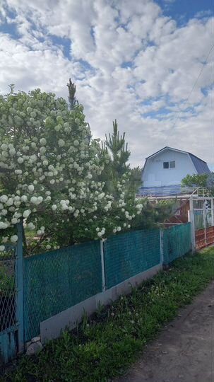 Дача 20 м² на участке 4,7 сот.