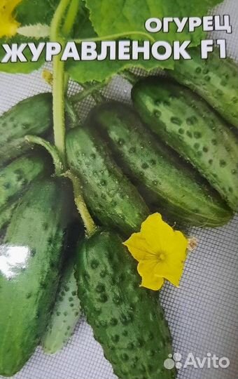 Семена овощных культур