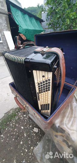 Баян тульский