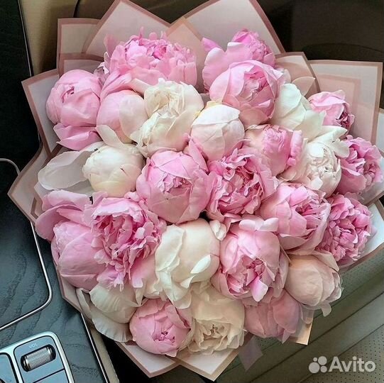 Пионы Букет