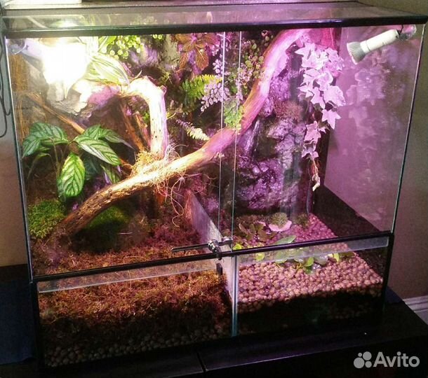 Террариумы для больших рептилий