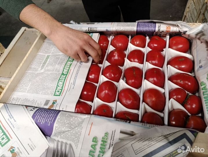 Помидоры оптом