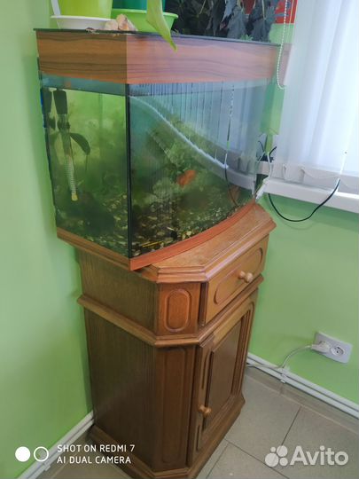 Продам аквариум