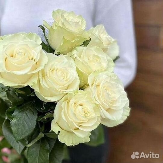 Длинные высокие розы 110 150 160 180 200 см