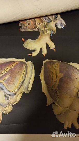 Учебные пособия СССР