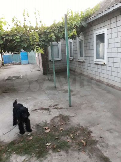 Дом 61 м² на участке 27 сот.