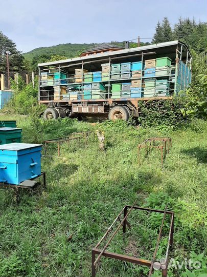 Прицеп пчеловоз, 2008