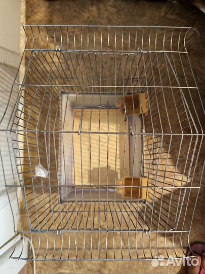 Клетка для хомяка бу