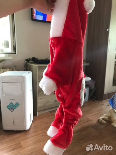 Костюм и ботинки на кошку/маленькую собачку