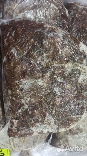 Корм для собак