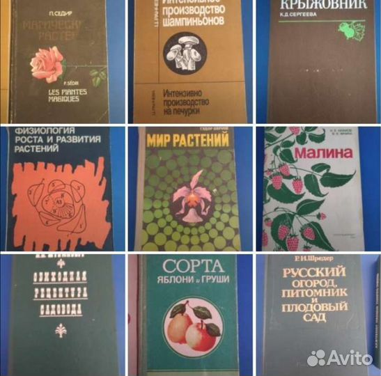 Физиология растений прививки саженцы защита