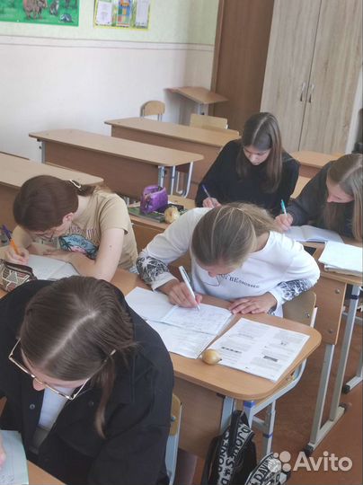 Репетитор по химии и биологии для школьников