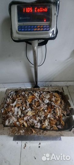 Корм для собак