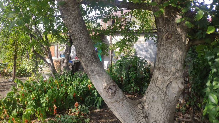 Участок 6 сот. (ИЖС)