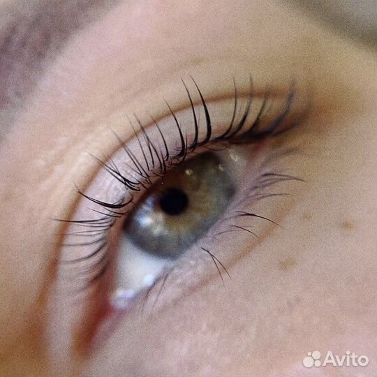 Оформление бровей брови ресницы лами укладка