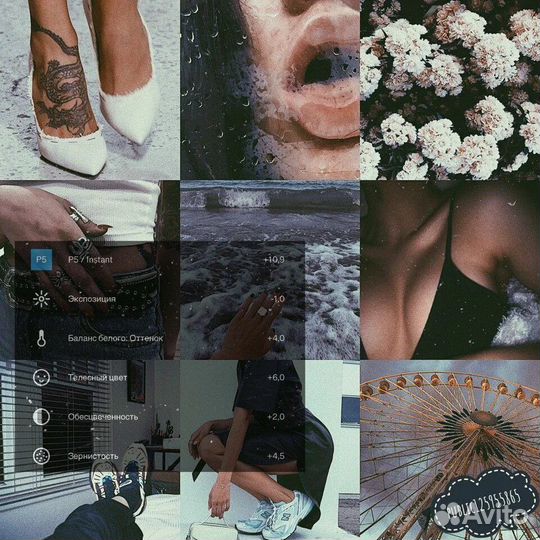 Vsco Plus подписка 1/12 месяцев