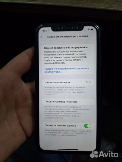 Apple 11