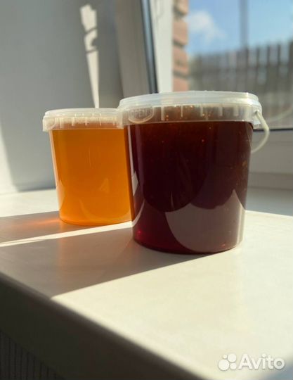 Алтайский мед оптом 2023