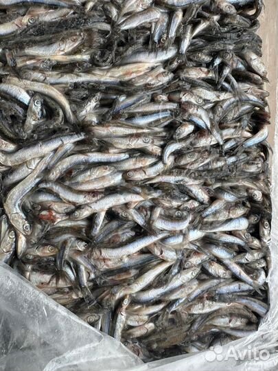 Корм животным Комбикорм