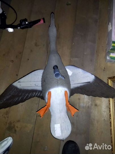 Чучело летящего белолобого гуся