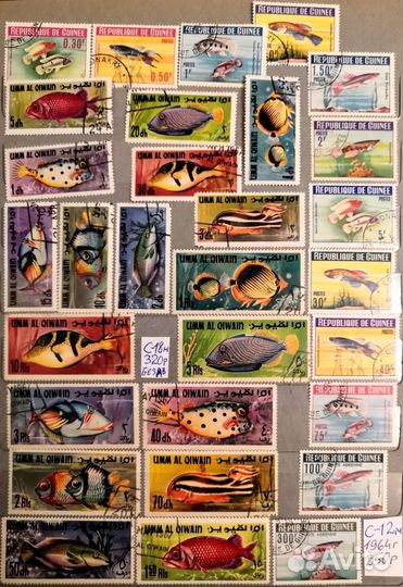 Подборка Фауна 24 Рыбы