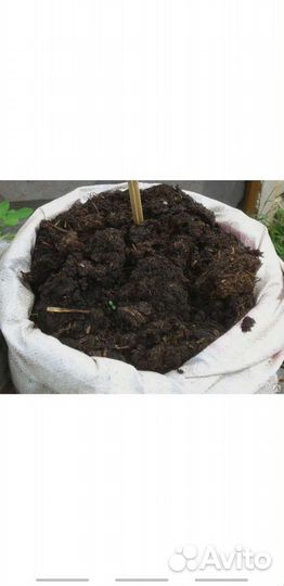 Новоз торф чернозем