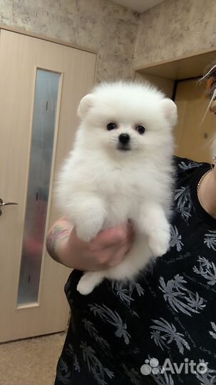 Уфа Девочка Блондинка