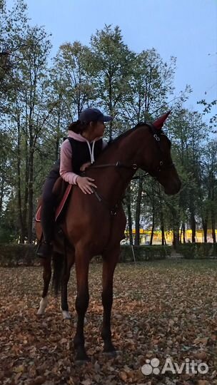 Конные прогулки