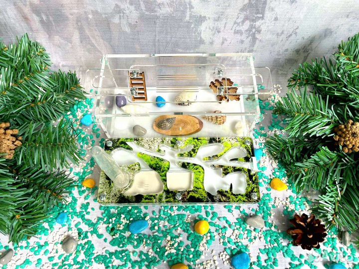 Муравьиная ферма, хит продаж