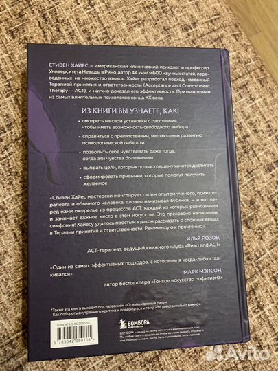 Стивен Хайес - Внутренний критик