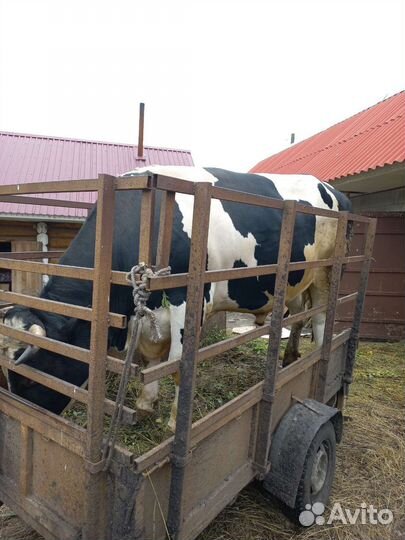 Косынки металлические