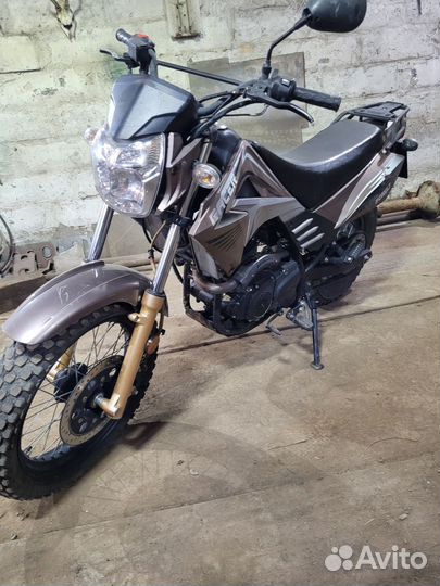 Racer Forester RC200LT