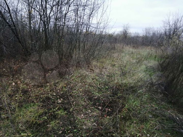 Участок 9 сот. (СНТ, ДНП)