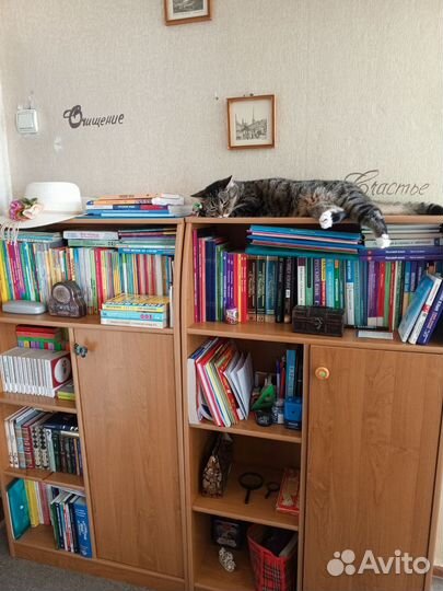 Репетитор по русскому языку и литературе